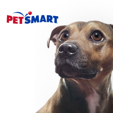 Pet Smart Sale